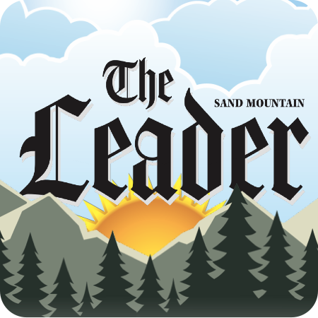 MVN Demo