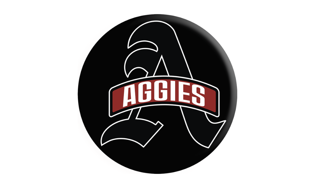 Albertville holds off Lee for region win, 24-19